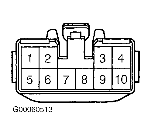 G00060513