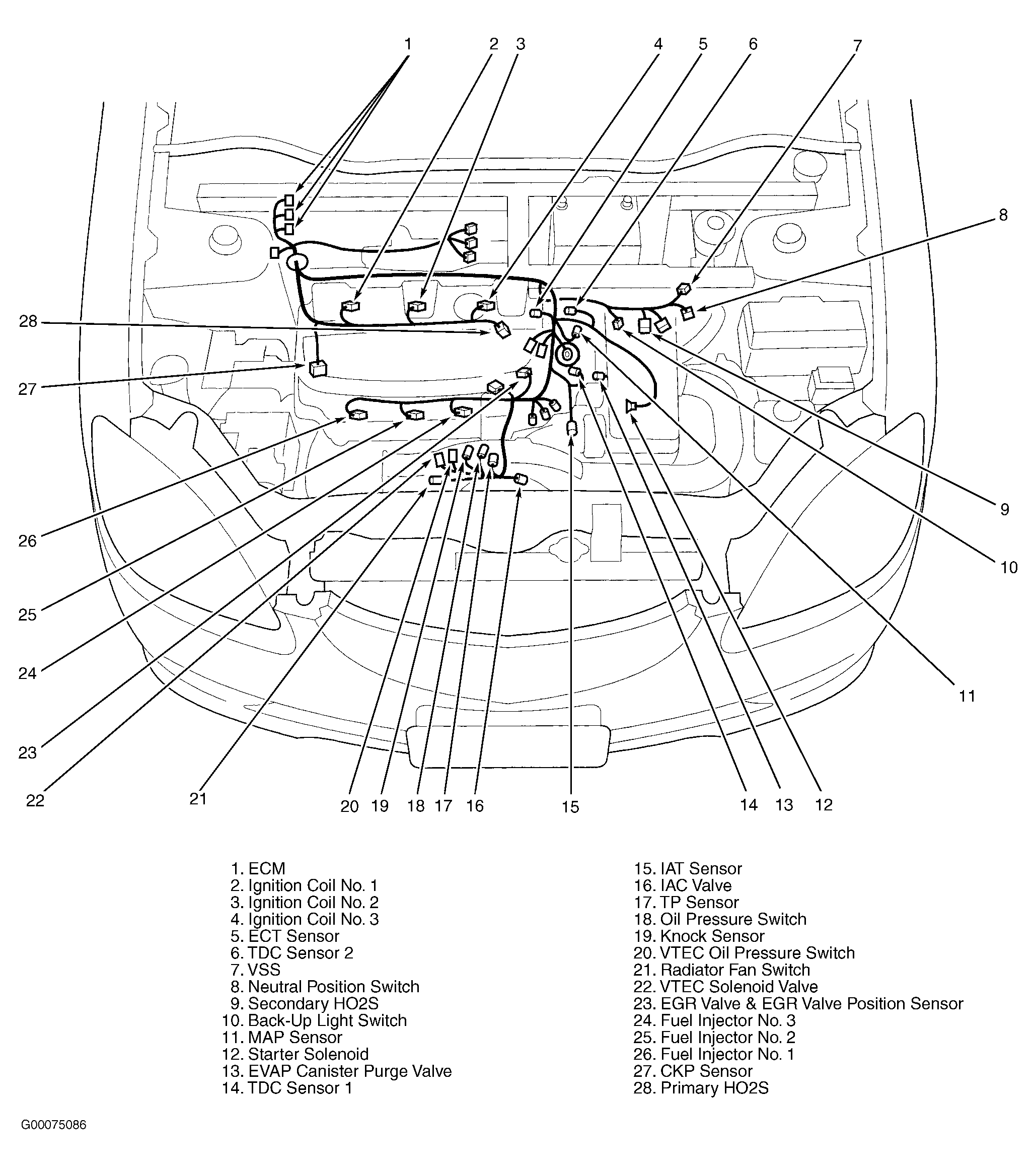G00075086