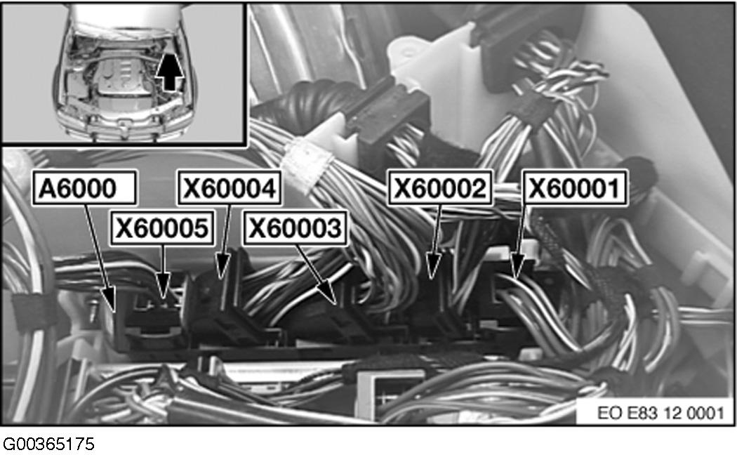 G00365175
