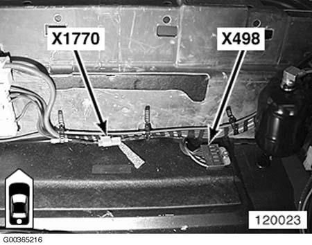 G00365216
