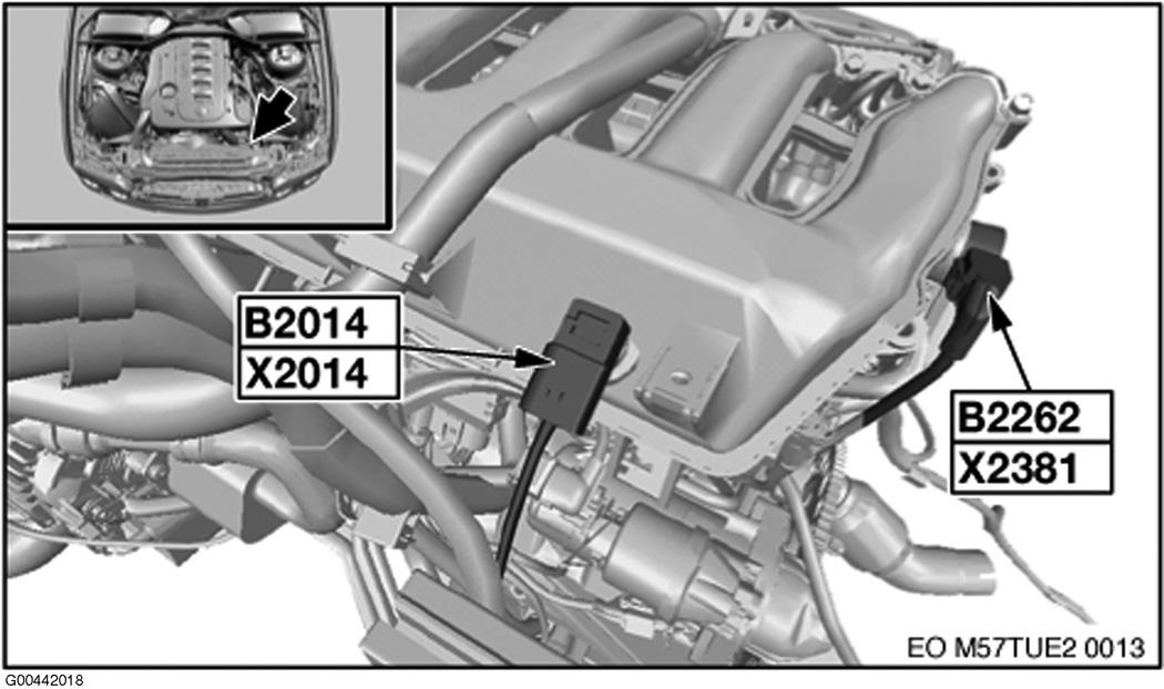 G00442018