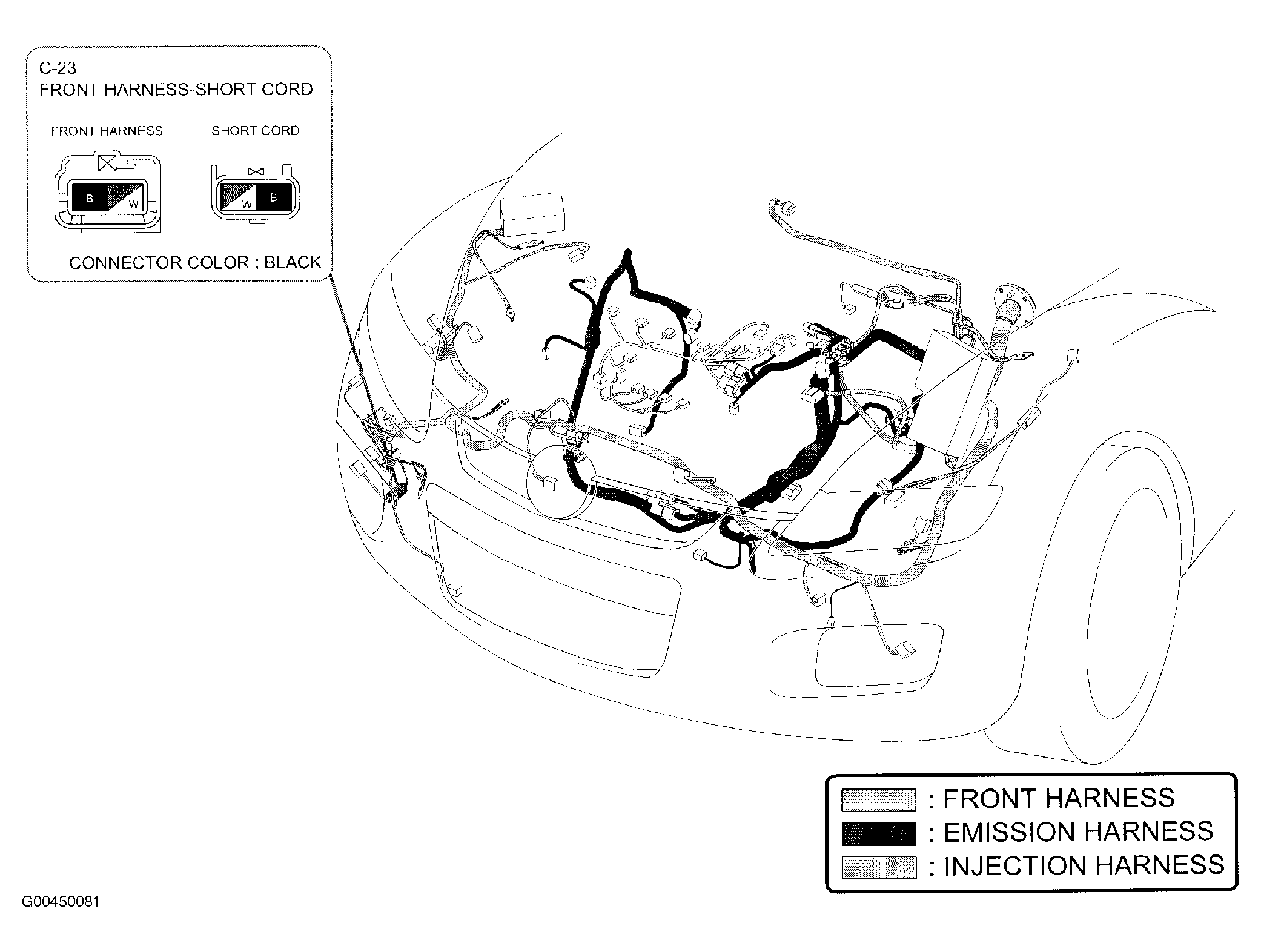 G00450081