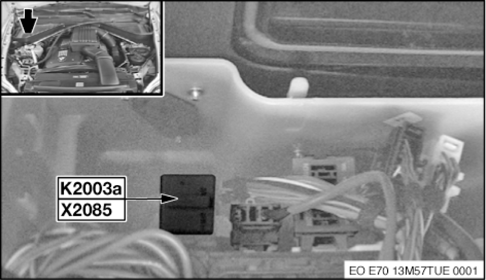 G00496006