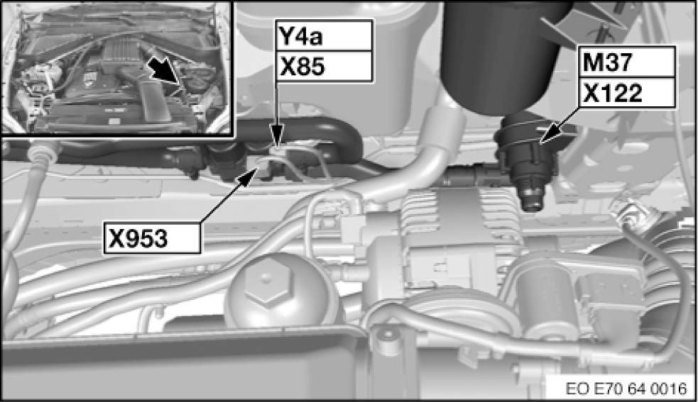 G00496020