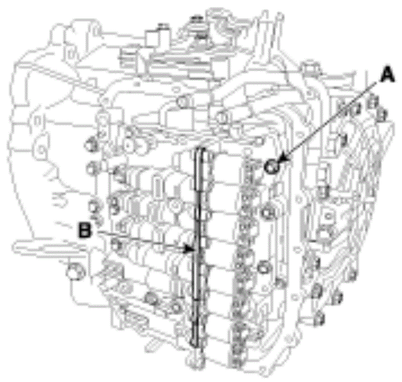 G00559826
