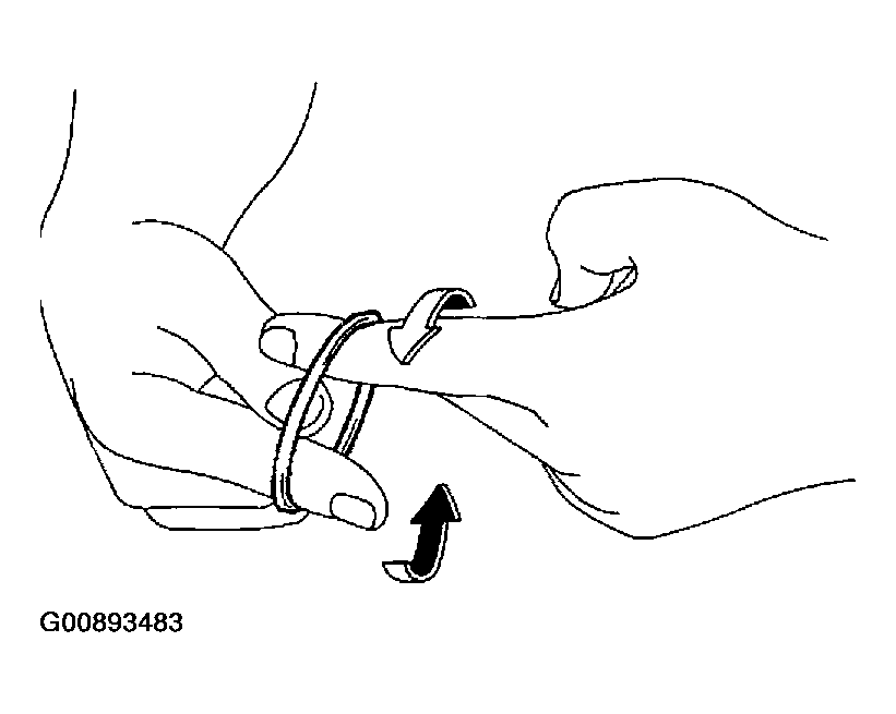 G00893483