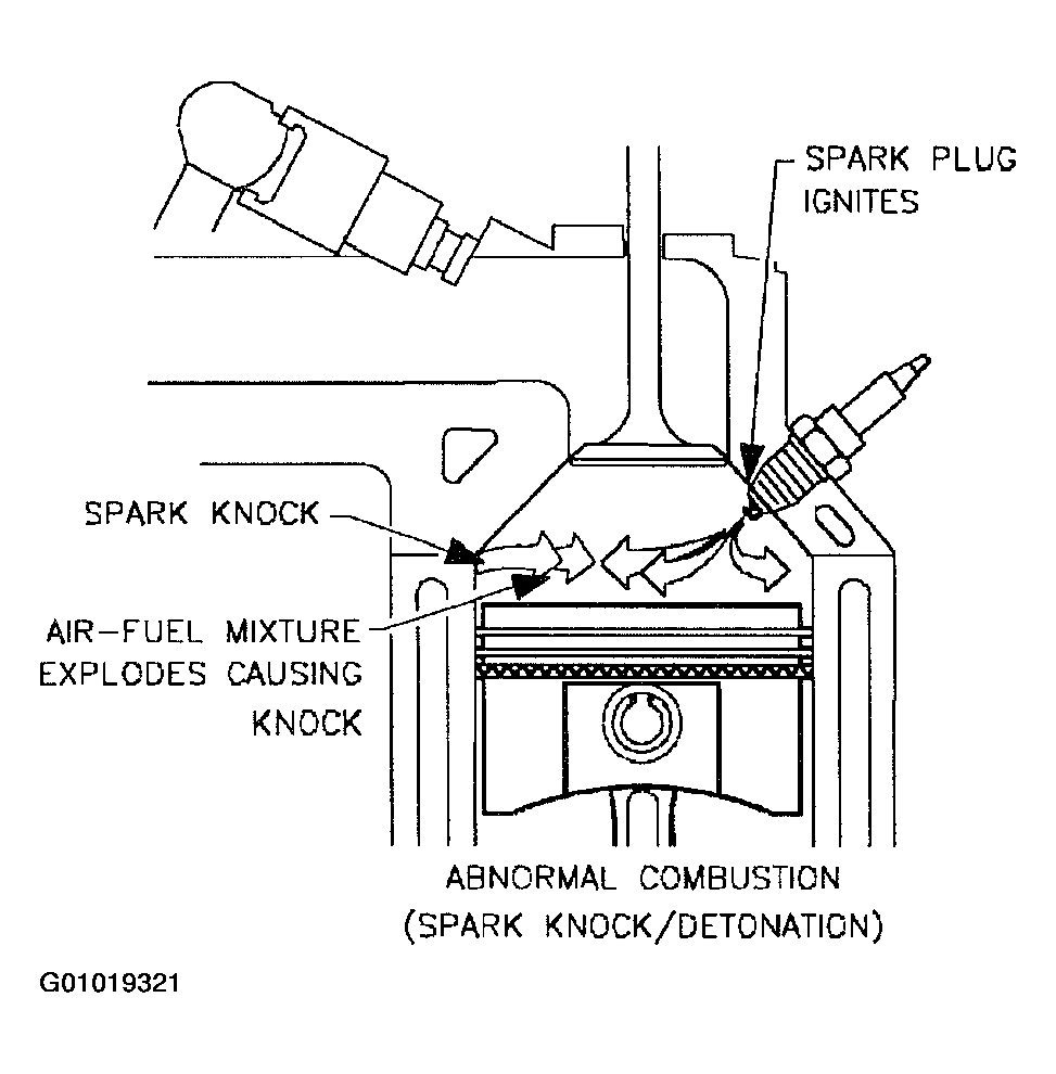 G01019321