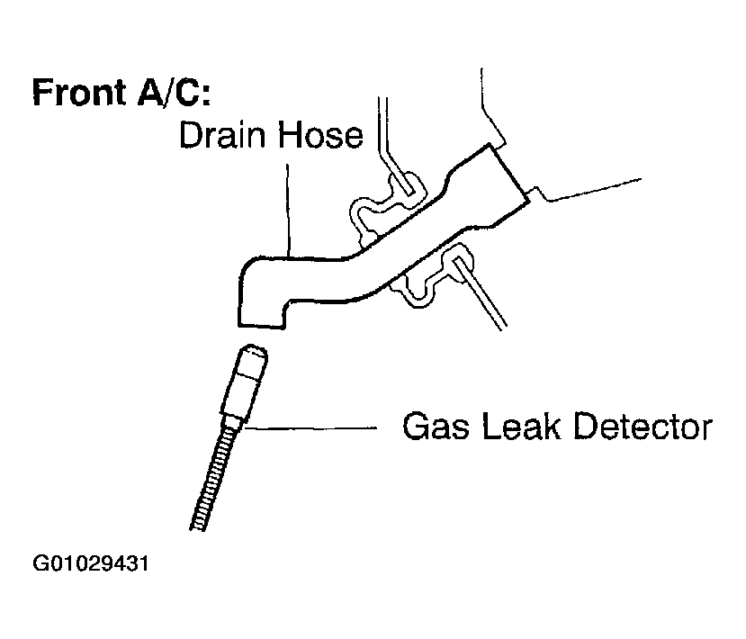 G01029431