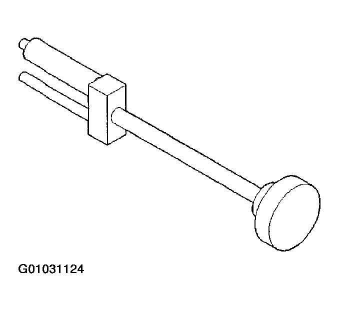 G01031124