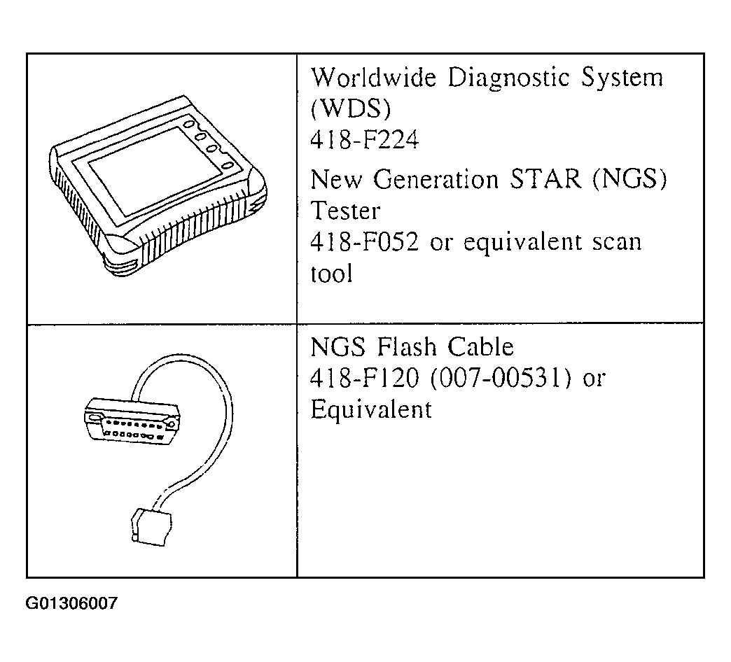 G01306007