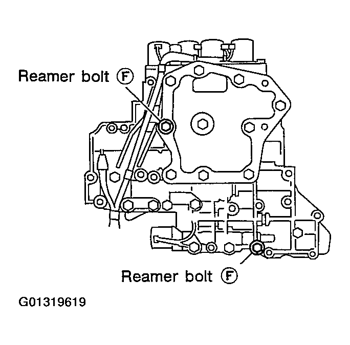G01319619