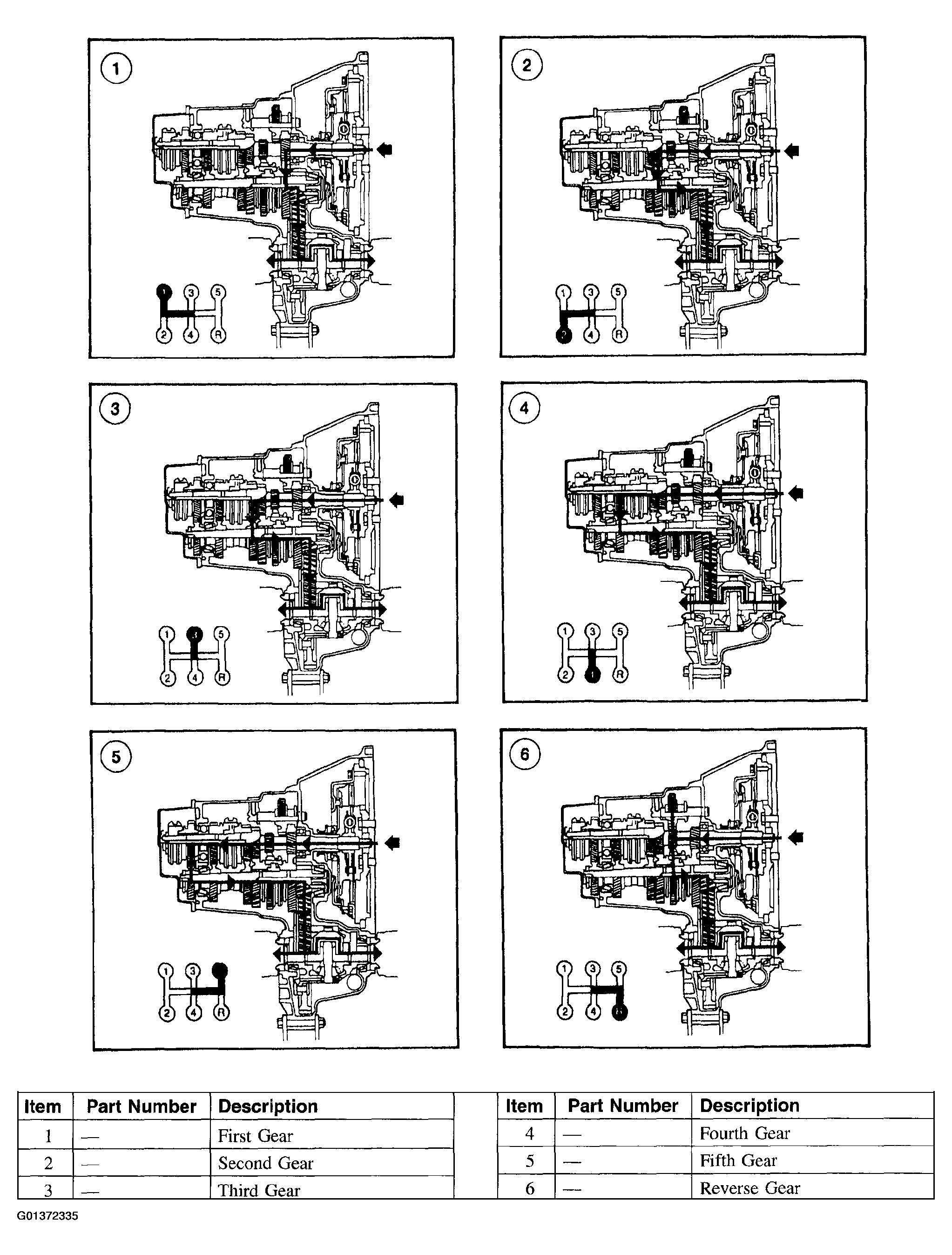 G01372335