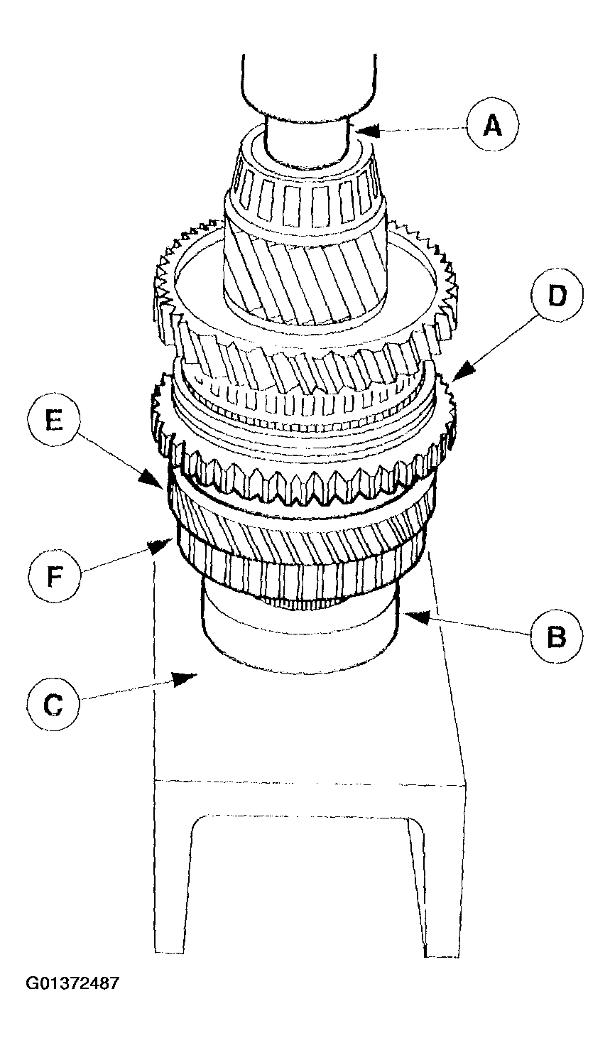G01372487