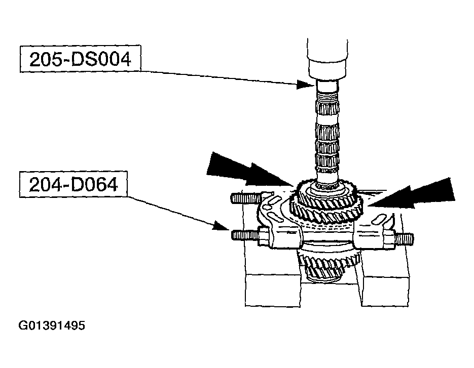 G01391495