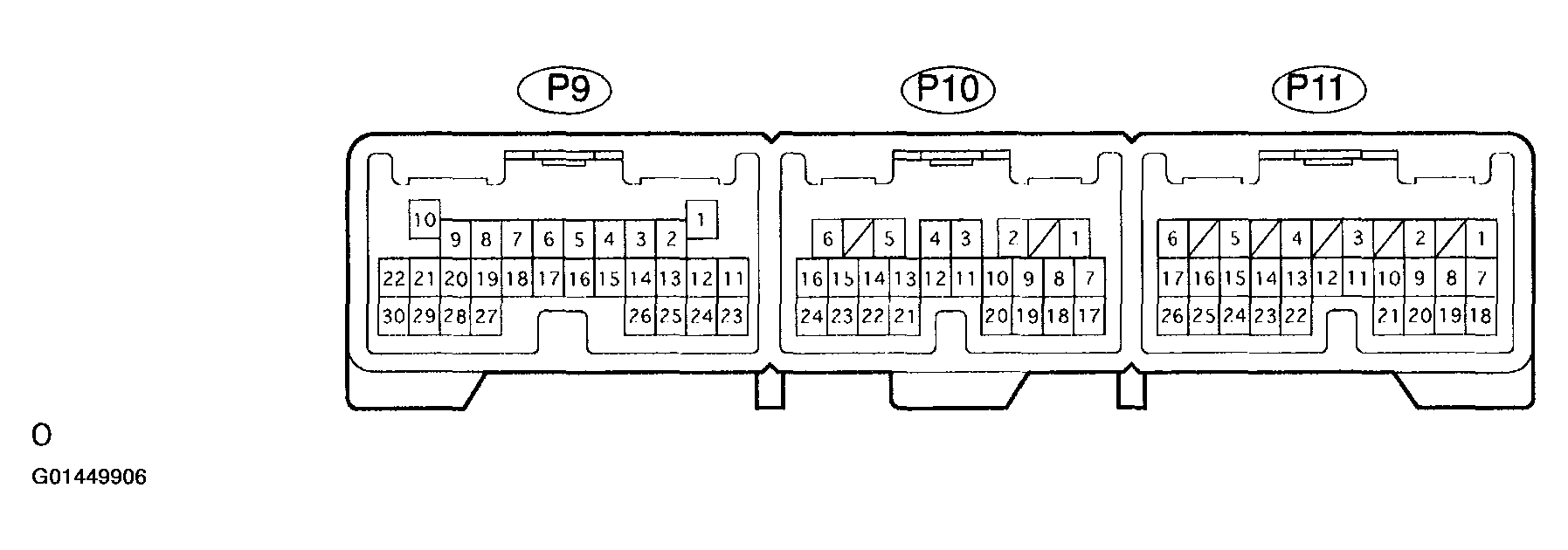 G01449906
