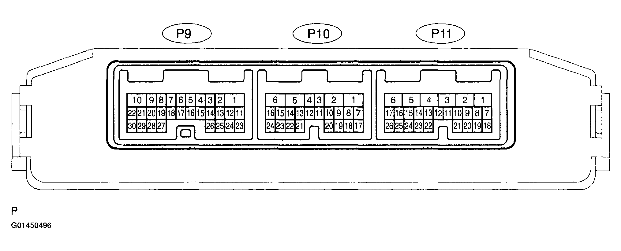 G01450496