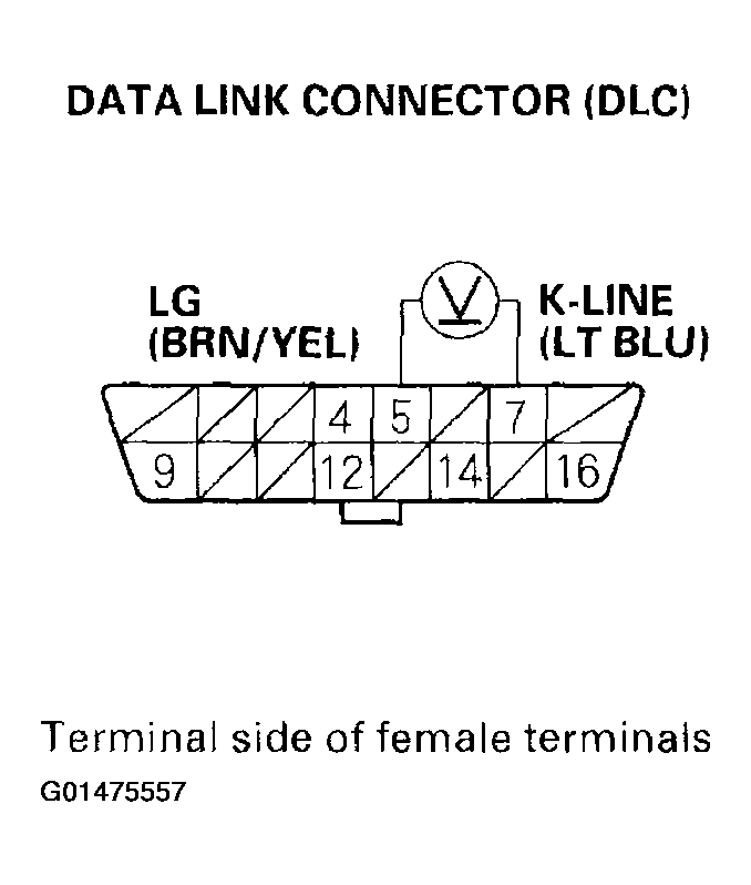 G01475557