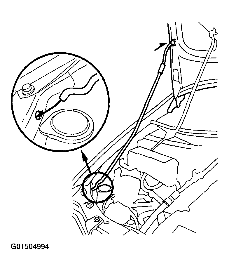 G01504994