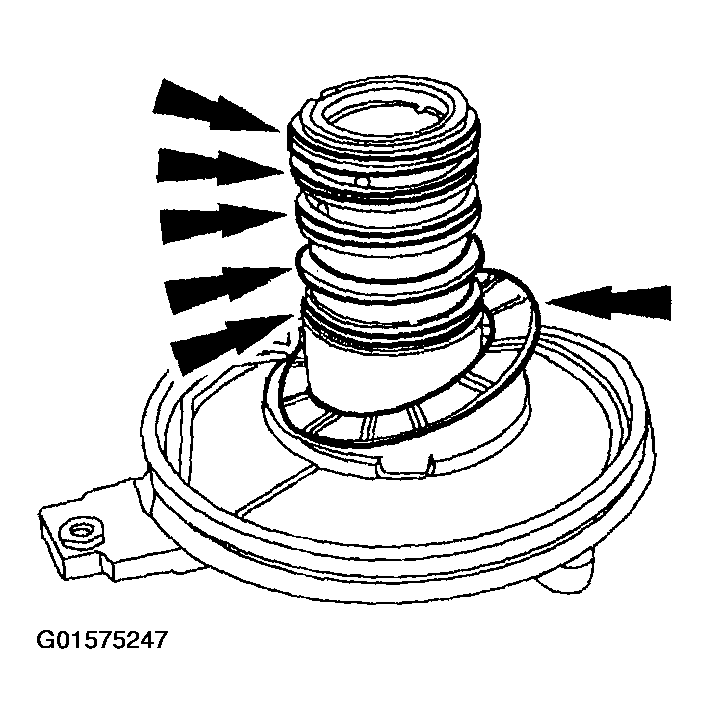 G01575247