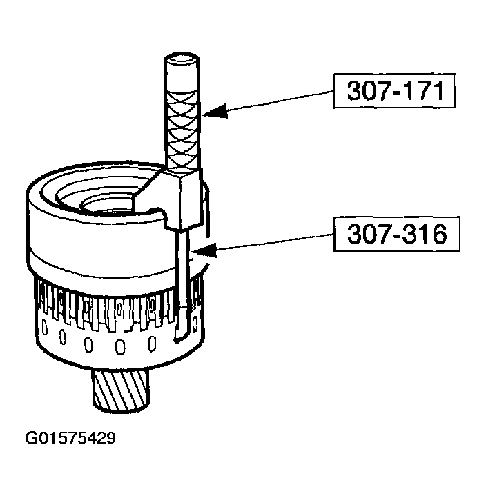G01575429