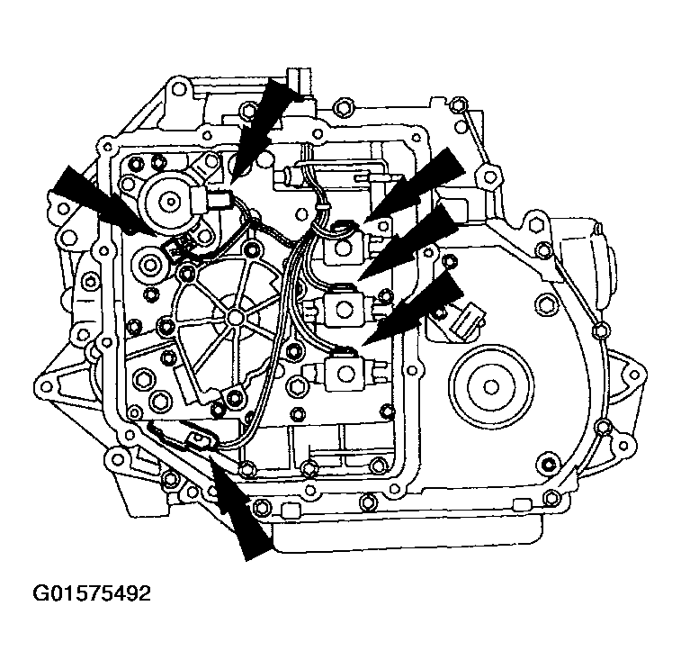 G01575492