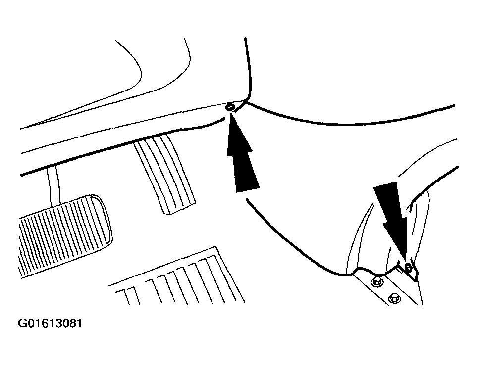 G01613081