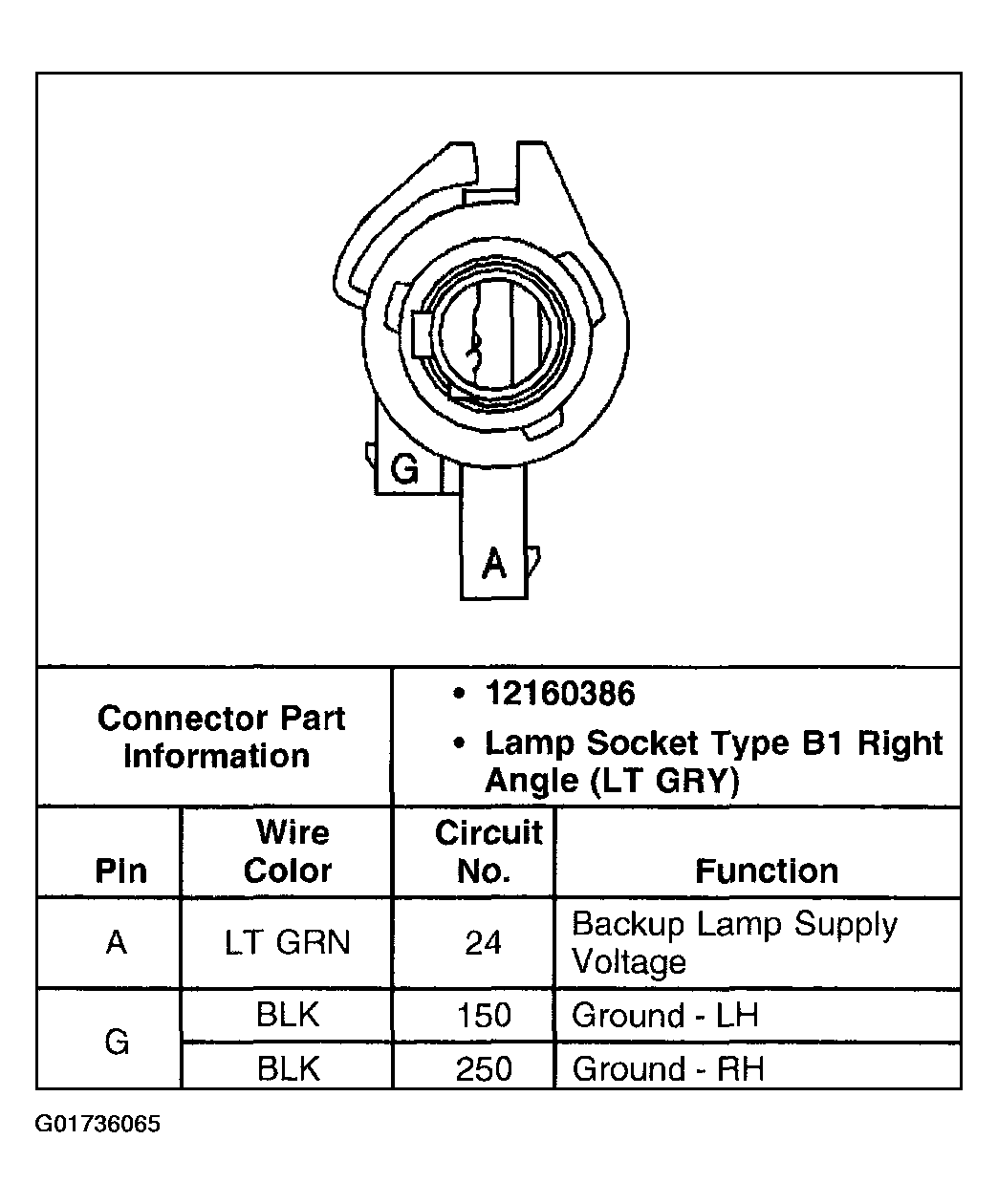 G01736065