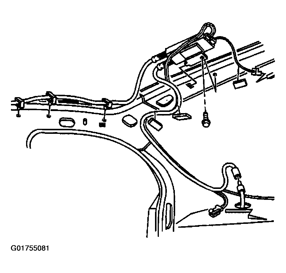 G01755081