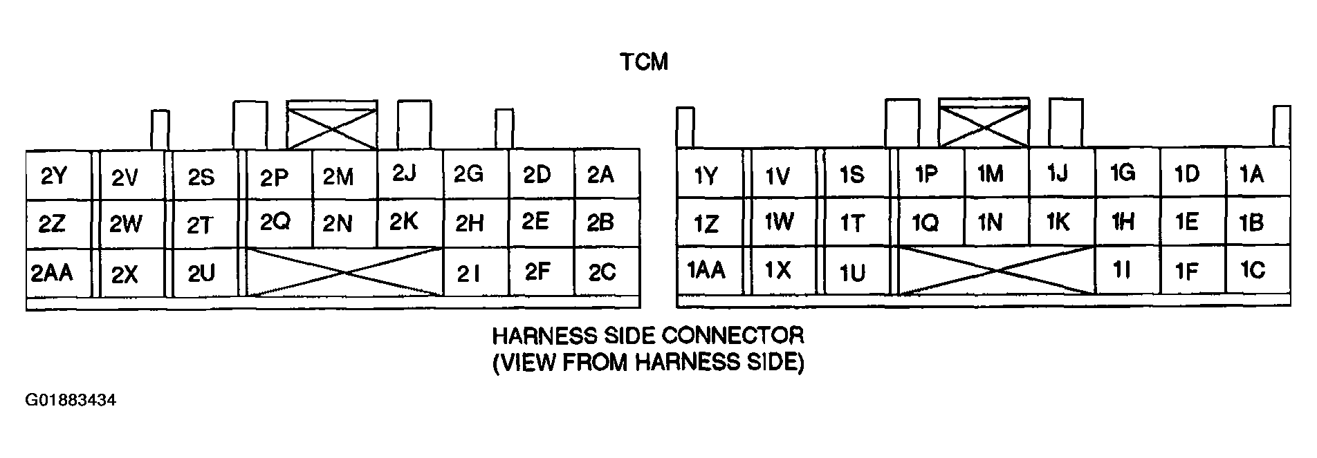 G01883434