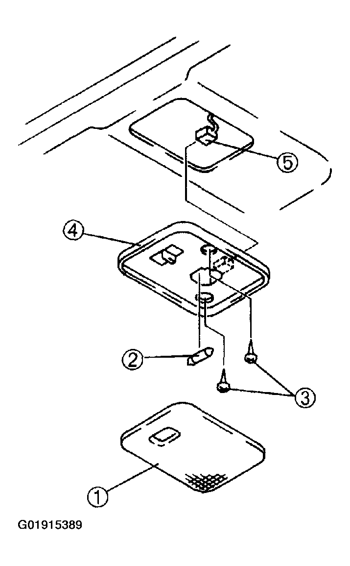 G01915389