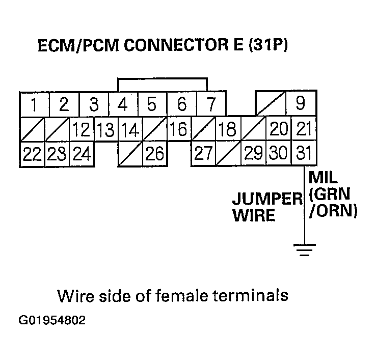 G01954802