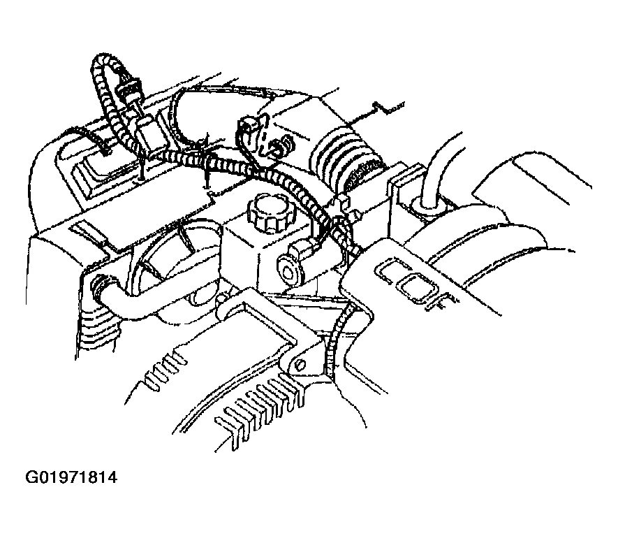 G01971814