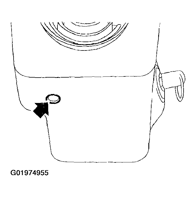 G01974955