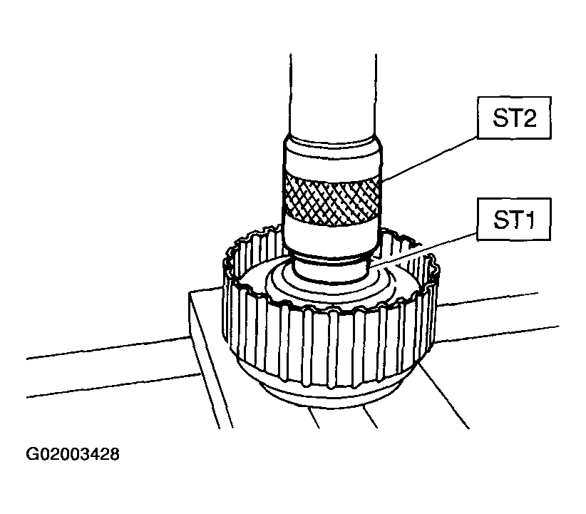 G02003428