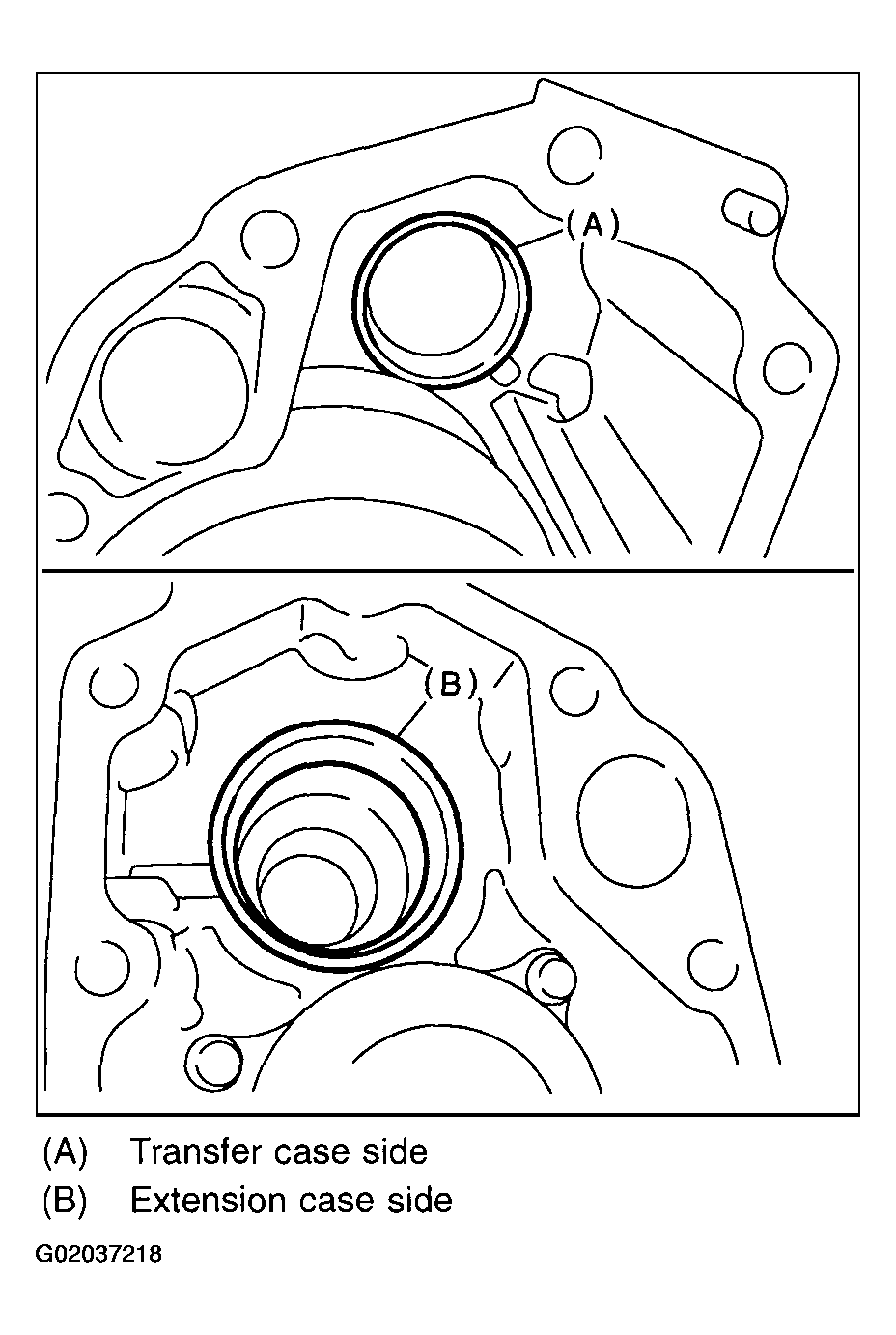 G02037218