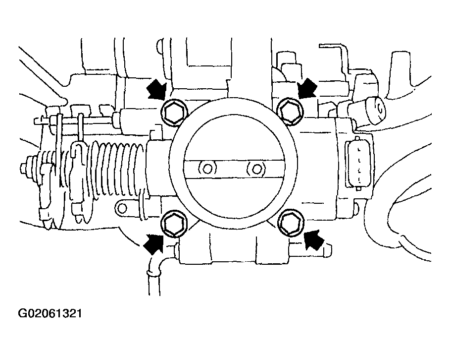 G02061321