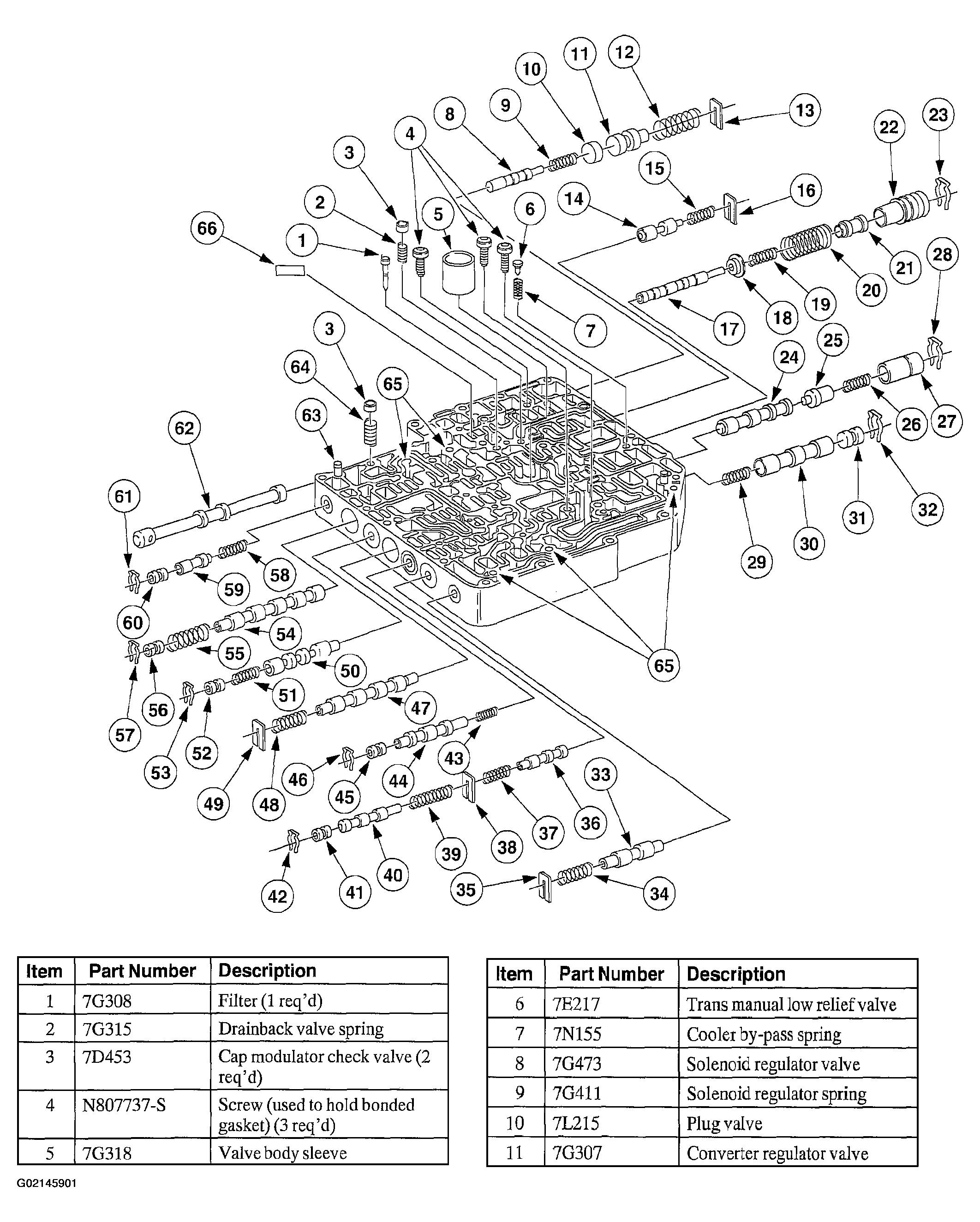 G02145901