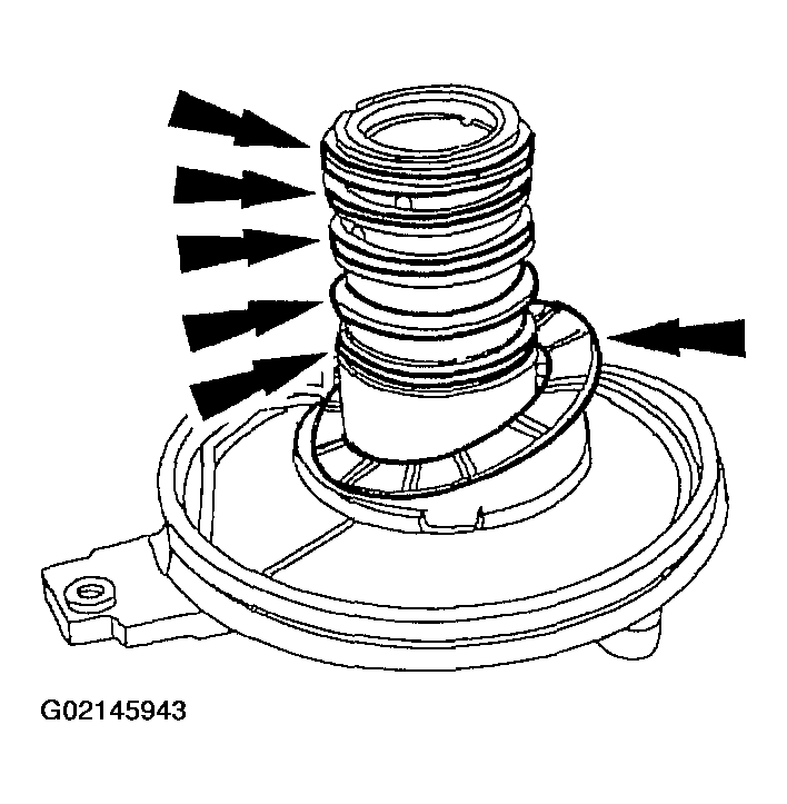 G02145943