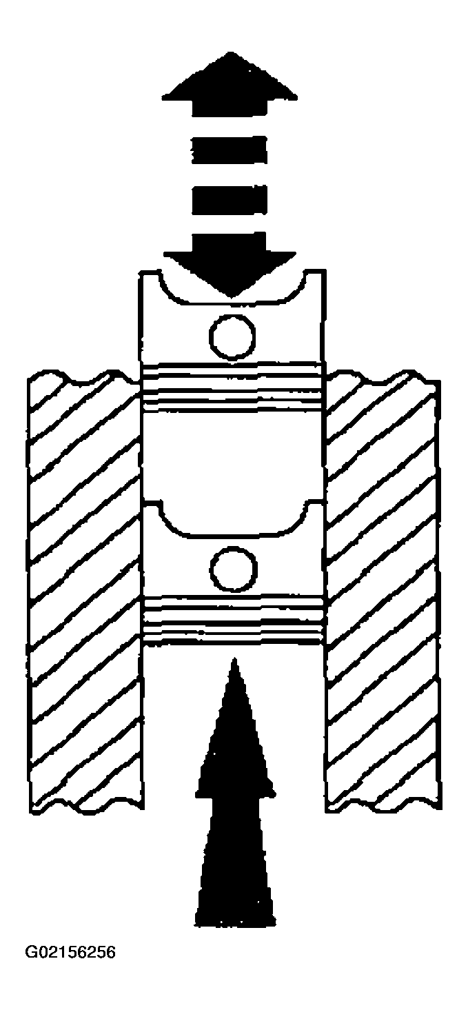 G02156256