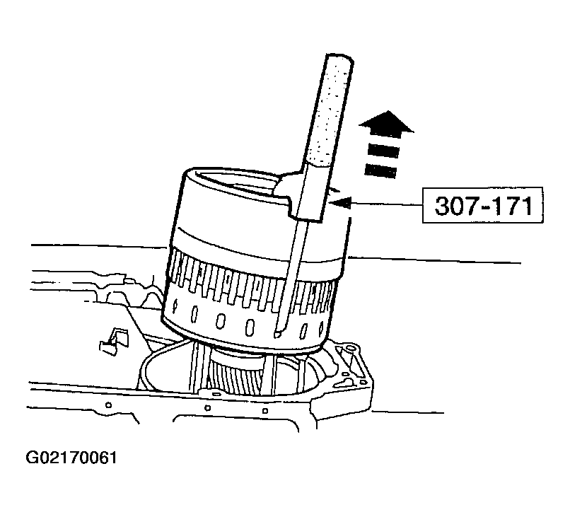 G02170061