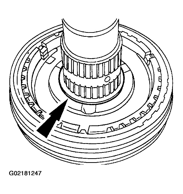 G02181247