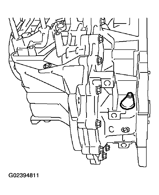 G02394811