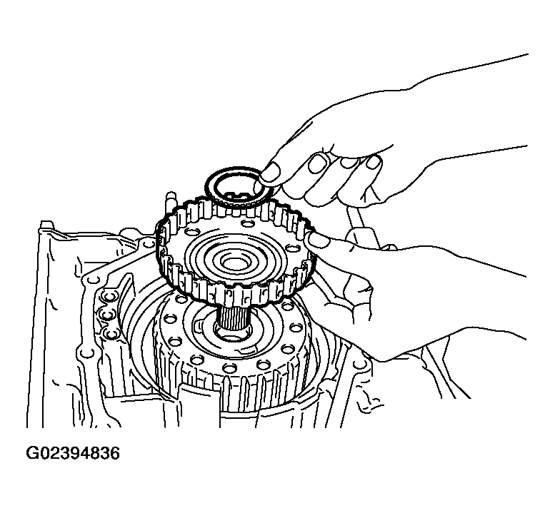 G02394836