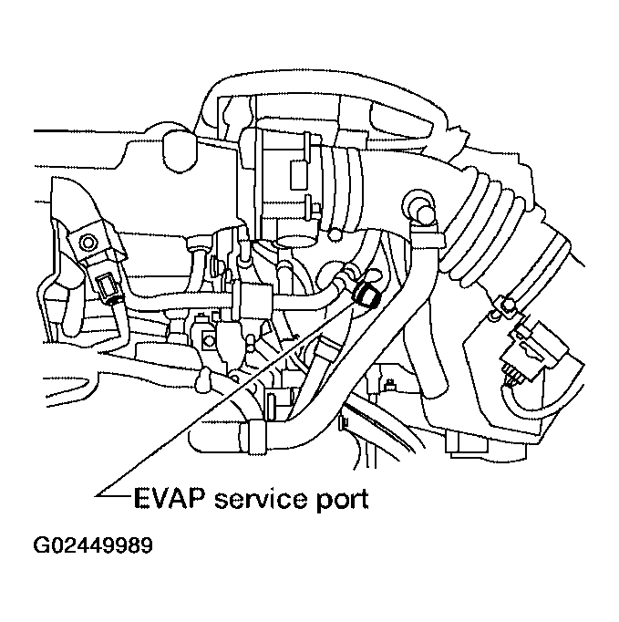 G02449989