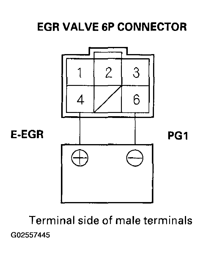 G02557445