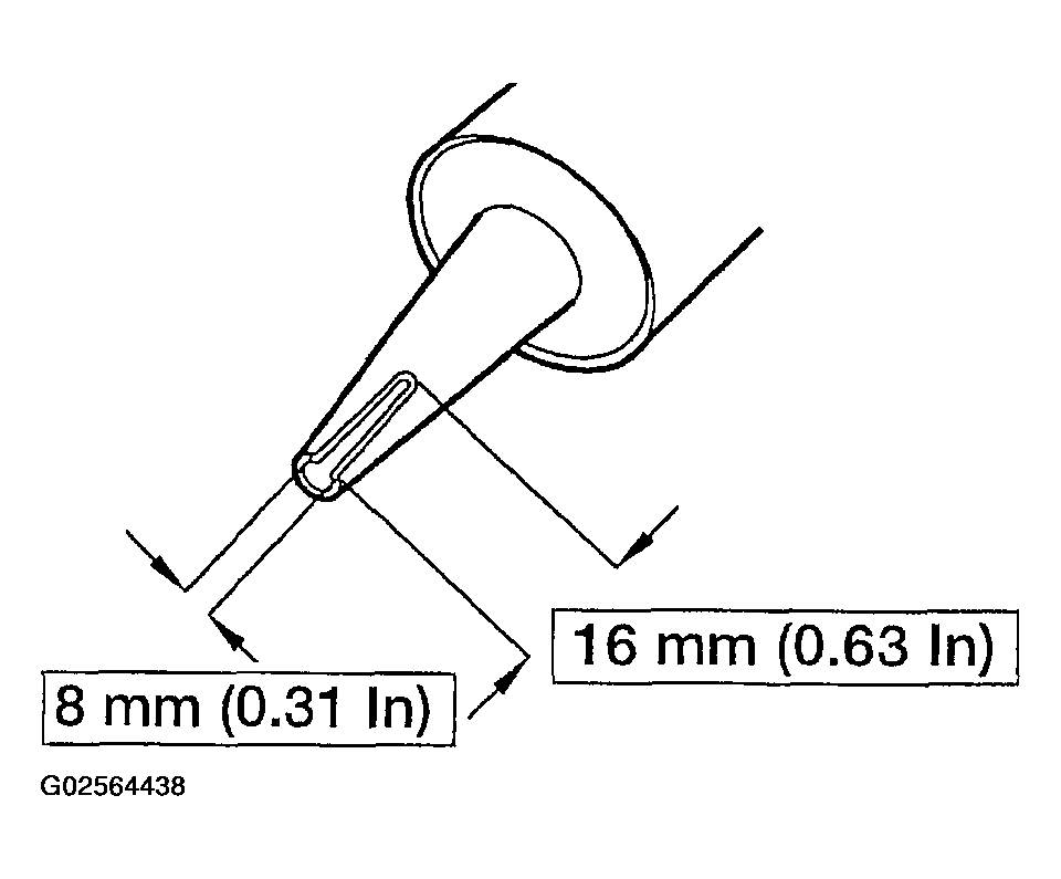 G02564438