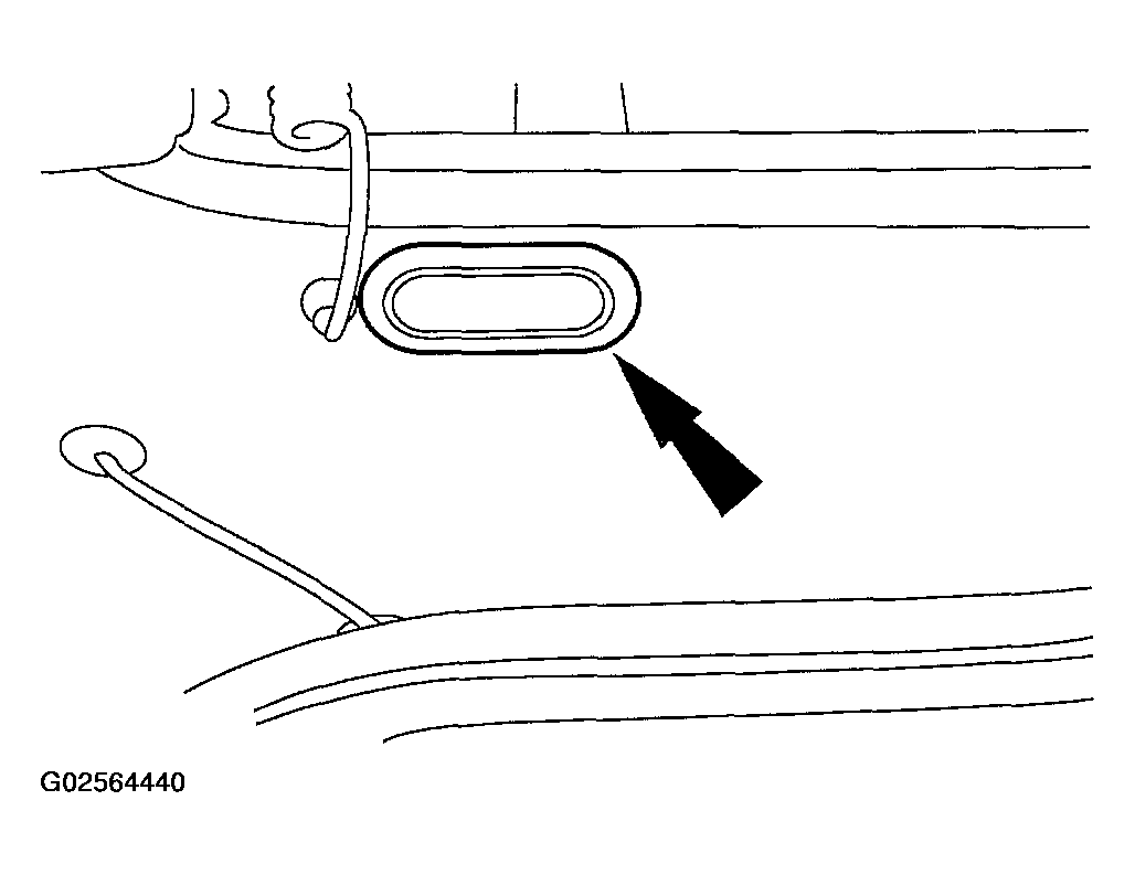 G02564440