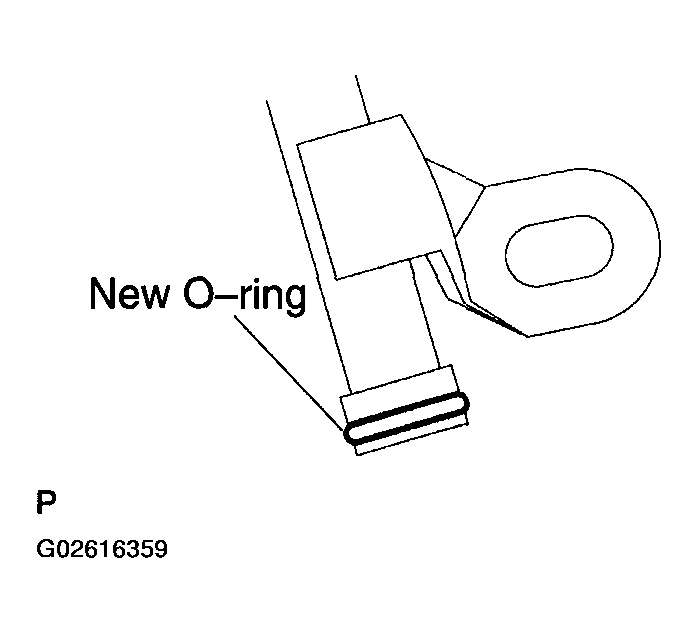 G02616359