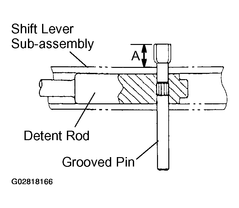 G02818166