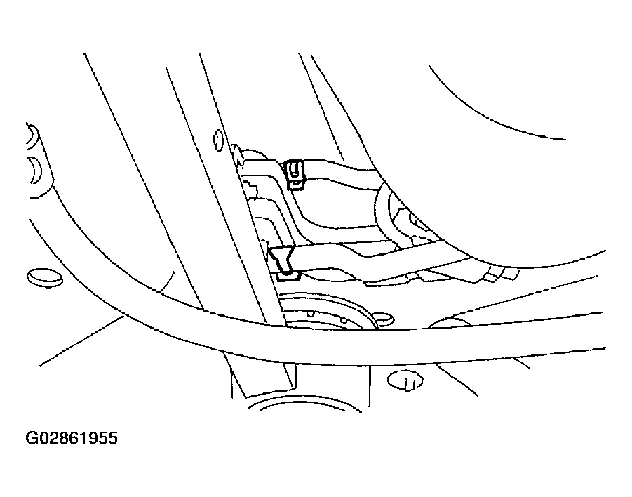 G02861955